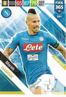 F.19 Team Mate - Hamsik