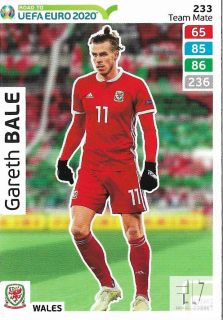 REU.20 Team Mate - Bale