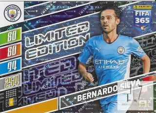 F.22 Limited Edition - Silva