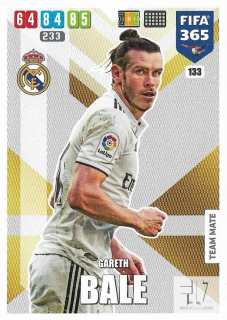 F.20 Team Mate - Bale