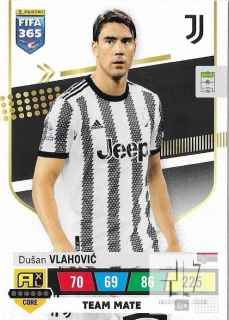 F.23 Team Mate - Vlahovic