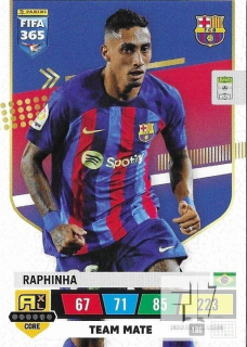 F.23 Team Mate - Raphina