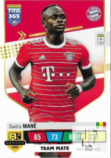 F.23 Team Mate - Mane