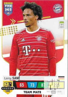 F.23 Team Mate - Sane