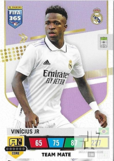 F.23 Team Mate - Vinicius