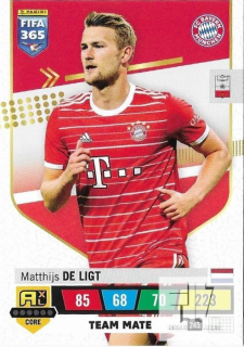 F.23 Team Mate - De Ligt
