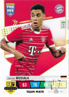 F.23 Team Mate - Musiala