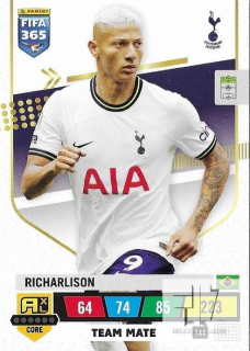 F.23 Team Mate - Richarlison