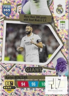 F.23 Giant - Benzema