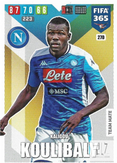 F.20 Team Mate - Koulibaly