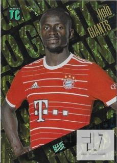TC.23 Holo Giants - Mane