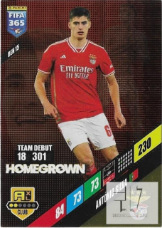 F.24 Homegrown - BEN15