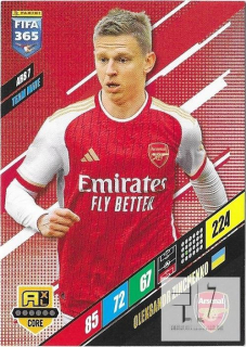 F.24 Team Mate - Zinchenko