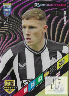 F.24 Rising Stars - Anderson