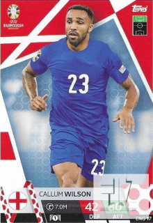 EU.24 Base - Wilson