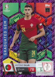 EU.24 Graduated Gem Parallel - Silva ( Purple Sapphire )