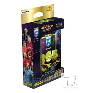 FIFA 365 2025 - PLECHOVÝ BOX - MALÝ ( 4+2 )