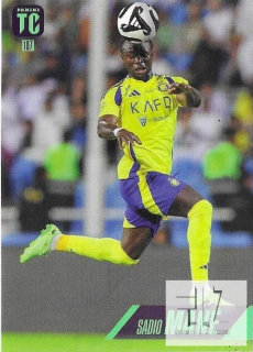 TC.25 Base - Mane