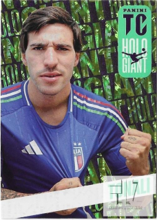 TC.25 Holo Giants - Tonali