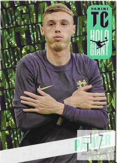 TC.25 Holo Giants - Palmer