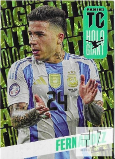 TC.25 Holo Giants - Fernandez