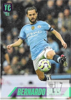 TC.25 Base - Silva
