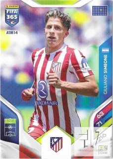 F.26 Team Mate - Simeone