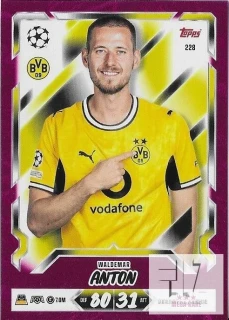 CH.L.26/27 Mega Rare Parallel - Anton