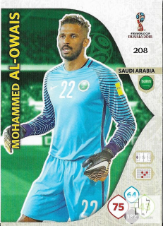 W.C.18 Team Mate - č.208