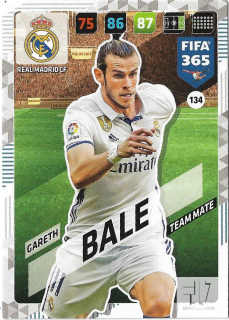 F.18 Team Mate - Bale