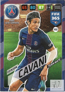 F.18 Team Mate - Cavani
