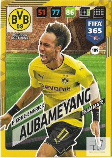 F.18 Team Mate - Aubameyang