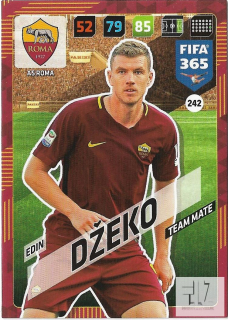 F.18 Team Mate - Dzeko