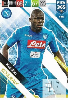 F.19 Team Mate - Koulibaly