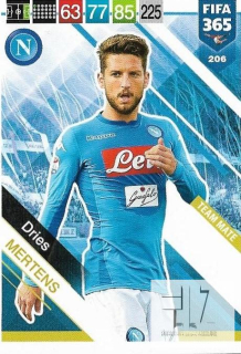 F.19 Team Mate - Mertens