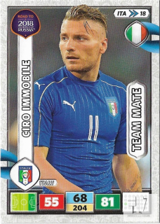 RW.C.18 Team Mate - ITA 18
