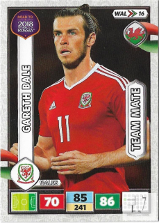 RW.C.18 Team Mate - Bale