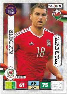 RW.C.18 Team Mate - WAL 17