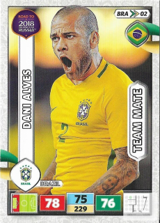 RW.C.18 Team Mate - BRA 02