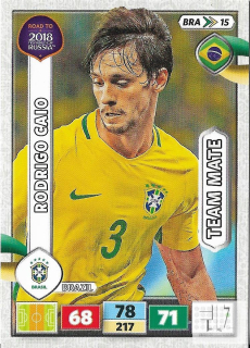 RW.C.18 Team Mate - BRA 15