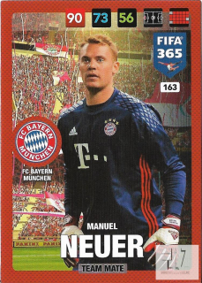 F.17 Team Mate - Neuer