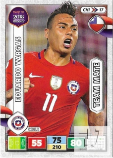 RW.C.18 Team Mate - CHI 17