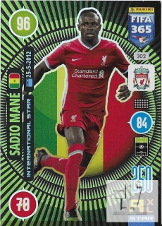 F.21 International Star - Mane