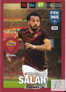 F.17 Team Mate - Salah