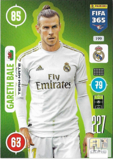 F.21 Team Mate - Bale