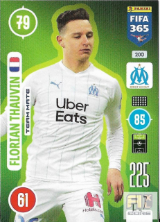 F.21 Team Mate - Thauvin