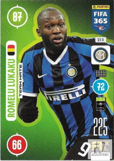 F.21 Team Mate - Lukaku
