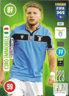 F.21 Team Mate - Immobile