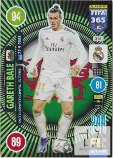 F.21 International Star - Bale