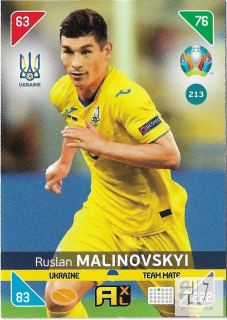 KEU.21 Team Mate - č.213